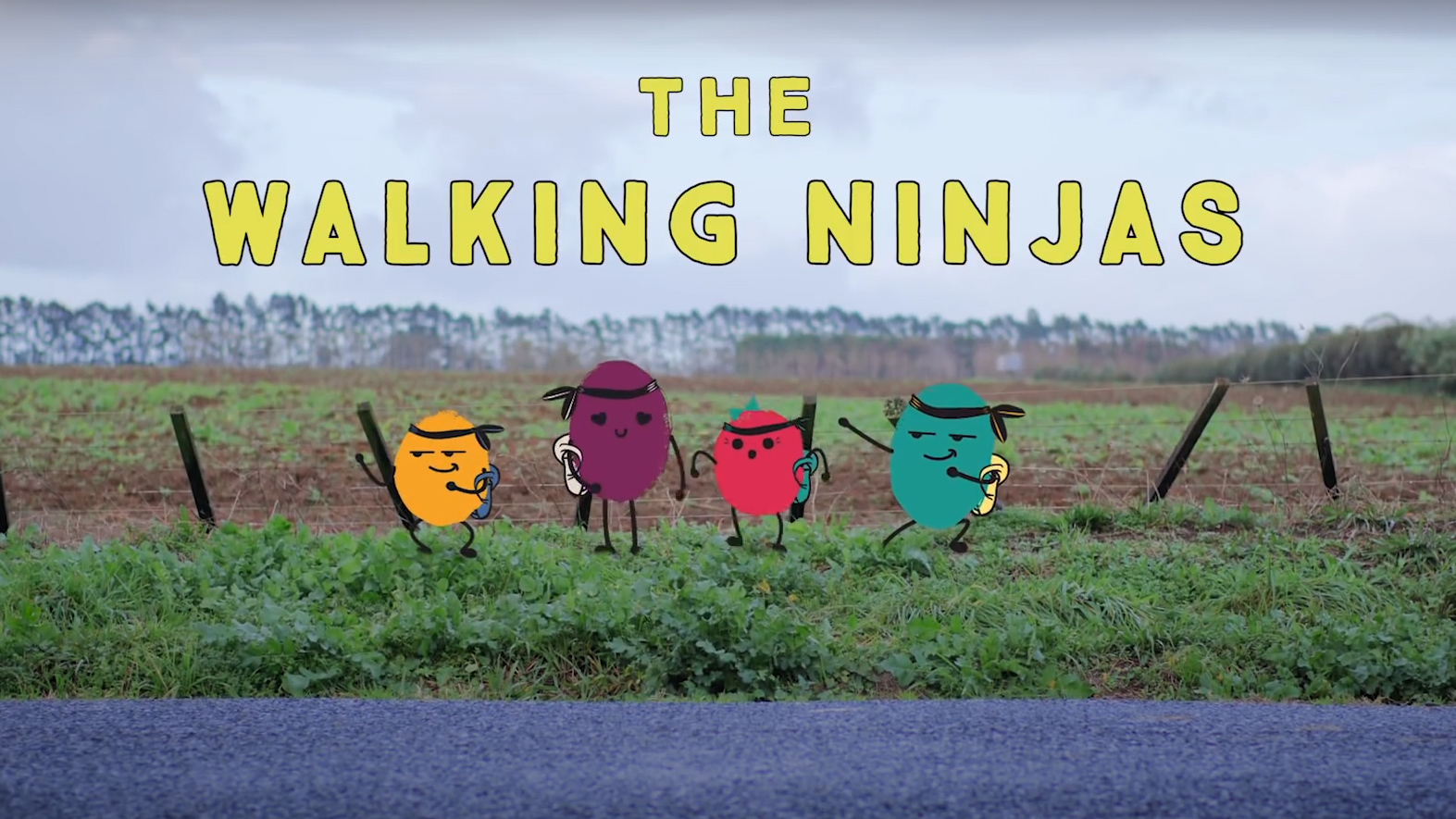 The walking ninjas title